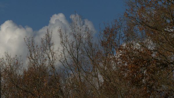 430 - D'Amour et d'Eau Fraîche