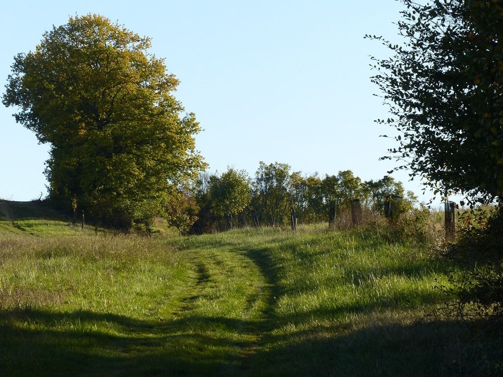 Fin Octobre 2017. La Nature vue par Philippe LAFFONT
